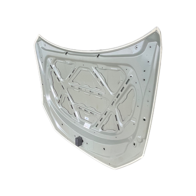 BYD Car Fitment Hood voor Qin PRO/PLUS HAD-8402010/70 Honeycomb Style OEM Accessoire
