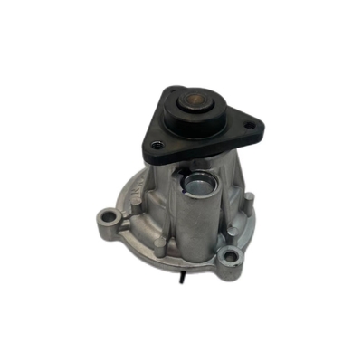 Sliver waterpomp OEM 1066025900 voor Geely Binrui vervanging in motorkoelsysteem